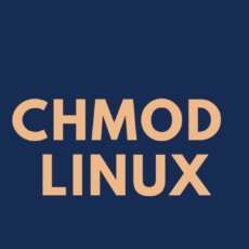 Команда chmod в Linux