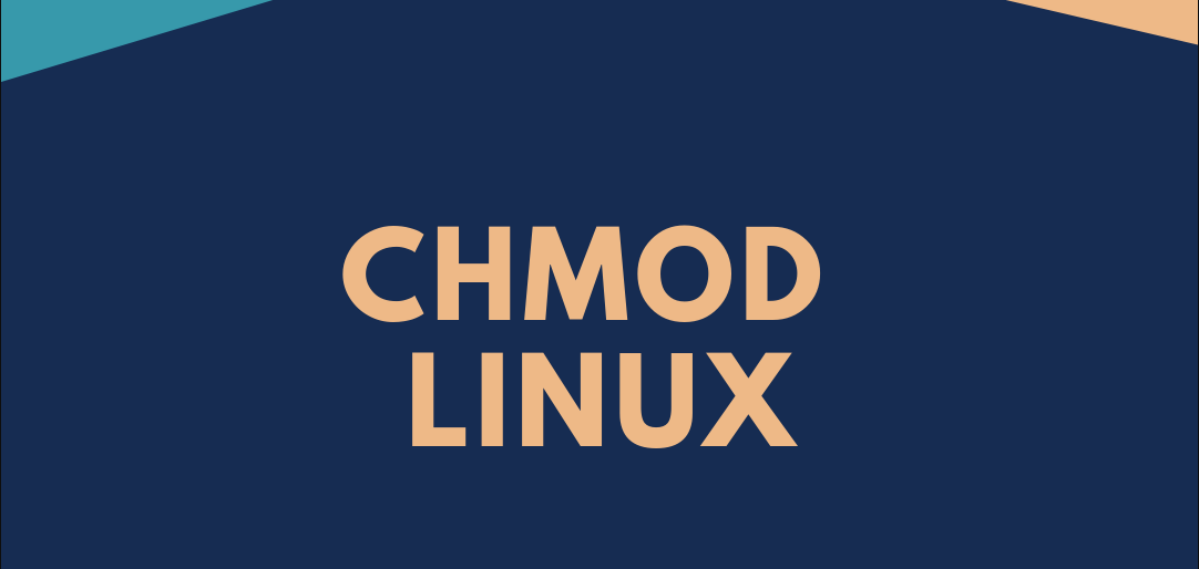 Команда chmod в Linux