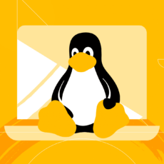 Как проверить, является ли система Linux физической или виртуальной машиной