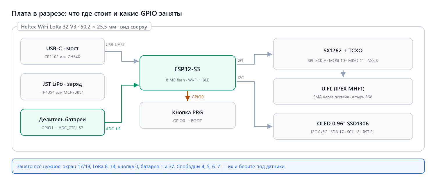 Heltec WiFi LoRa 32 V3 в разрезе: что где стоит и какие GPIO заняты