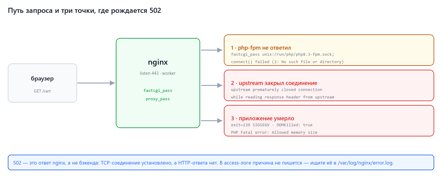 Путь запроса и три точки, где рождается 502