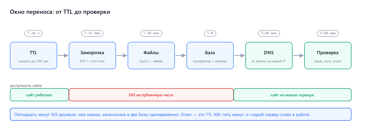 Окно переноса: TTL, заморозка, файлы, база, переключение, проверка