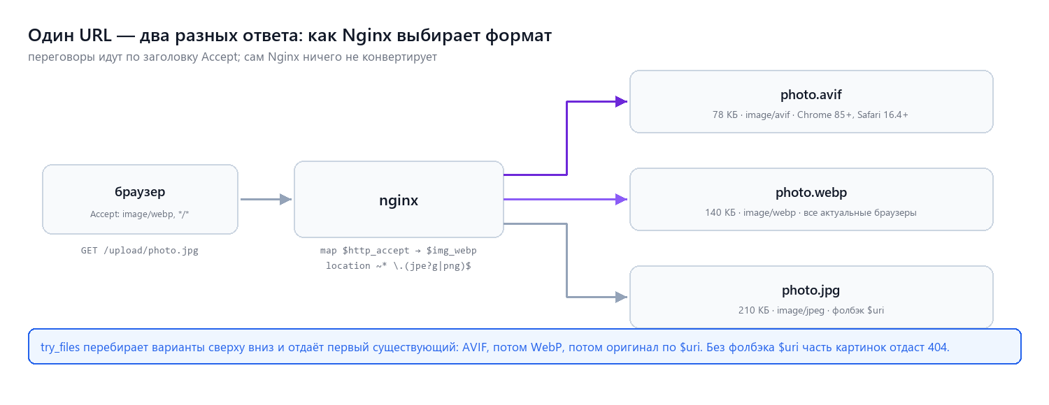 Путь картинки: Accept в браузере, решение в nginx, WebP или JPEG в ответе