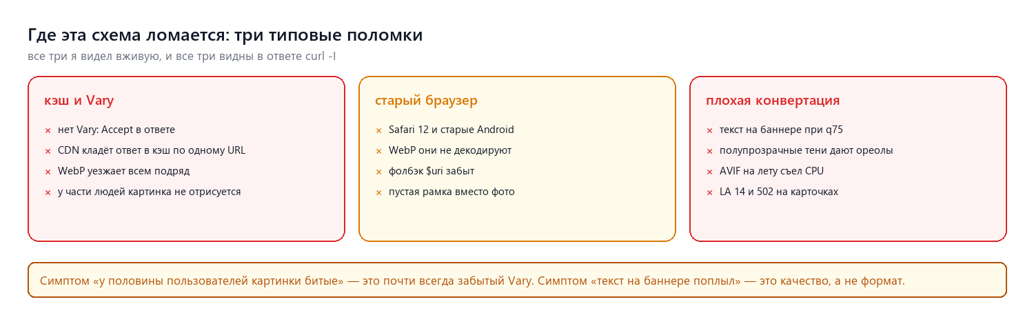 Где схема ломается: кэш без Vary, старый браузер, плохая конвертация